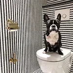 Vernet Champs Elysees Hotel Paříž