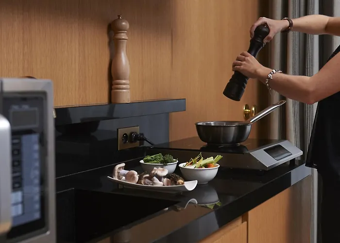 Vernet Champs Elysees 5*