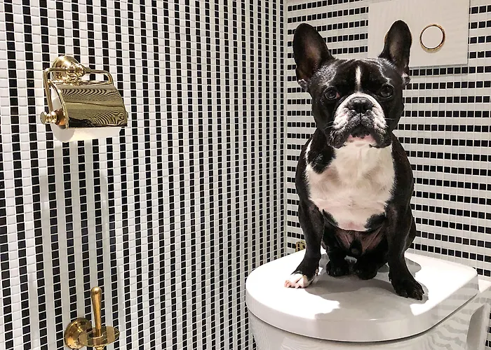 Vernet Champs Elysees 호텔 파리